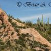 Tonto National Forest 5