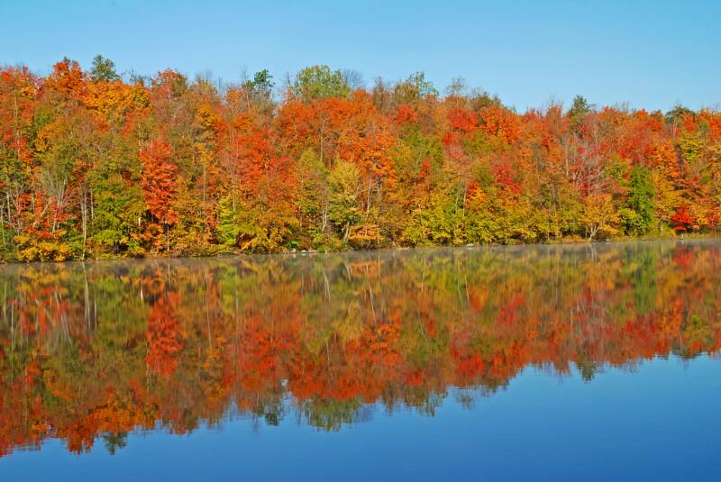 Photo Gallery - Wisconsin Fall Colors - Wolf's Vision Nature Photography